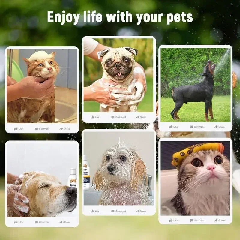 300ml Deodorizing Pet Shampoo Conditioner Natural Moisturizing Formula with PH Balance Dogs Cats Gentle Hypoallergenic Bath Foam